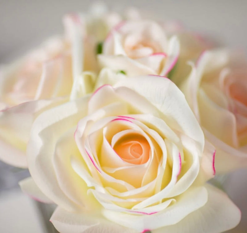 NATURAL TOUCH 5 ROSES - CLEAR - PINK BLUSH