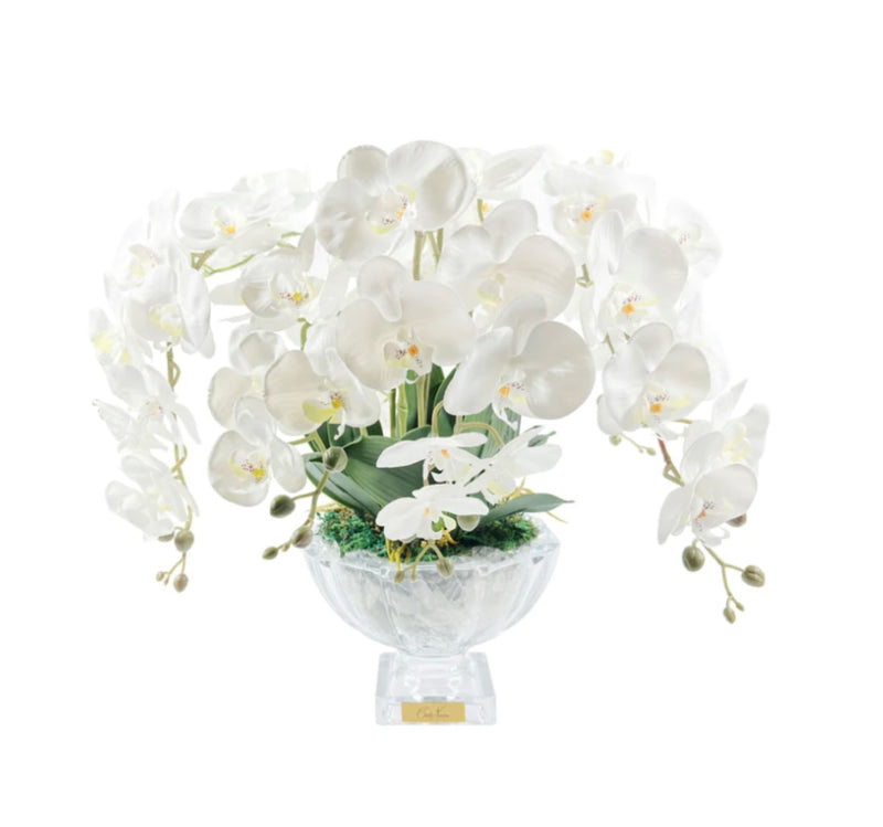LUXURY CENTREPIECE - ORCHID IVORY WHITE